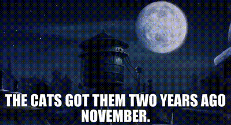 Funny November Two Years Ago GIF