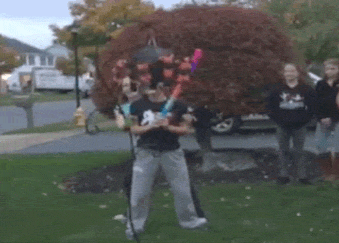 Funny Parlor Game Bat Hitting Fail GIF
