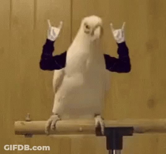 Funny Party Parrot Rocker Sign Head Banging GIF