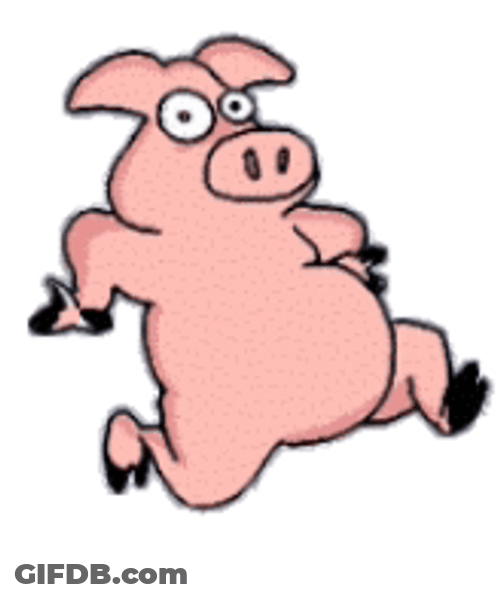 Funny Pig Running GIF