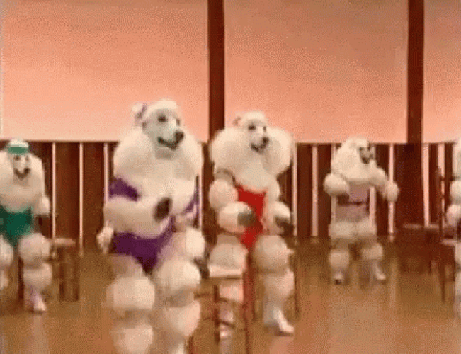 Funny Poodle Zumba Moving GIF