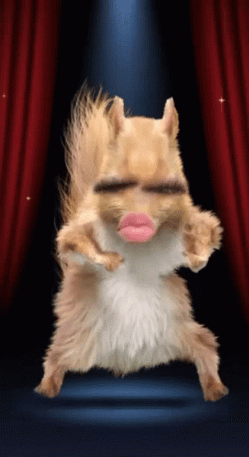 Funny Pretty Girl Dancing Squirrel GIF