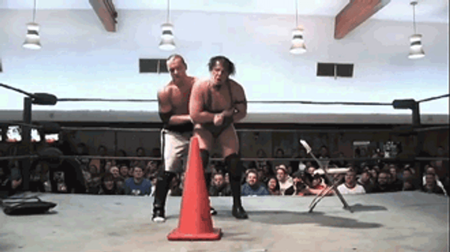 Funny Pro Wrestling Fail GIF