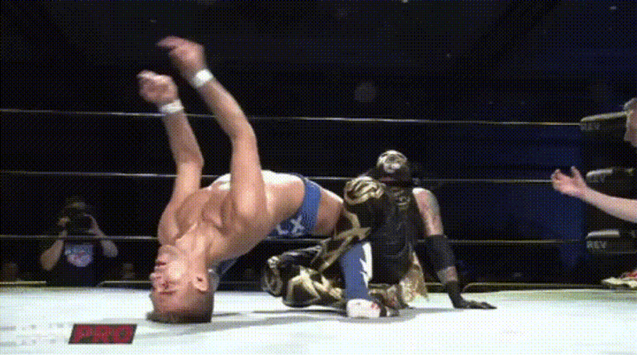 Funny Pro Wrestling Meme GIF