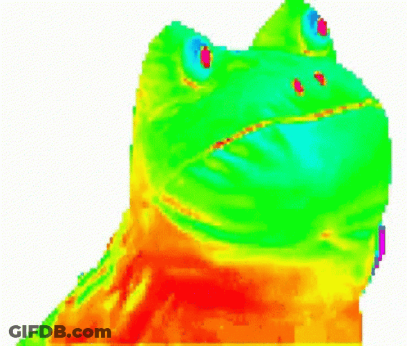 Funny Rainbow Frog Wiggling GIF