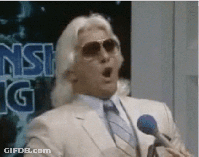 Funny Ric Flair Wooo GIF
