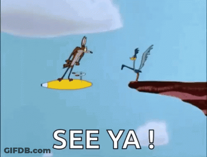Funny Roadrunner Coyote See Ya GIF