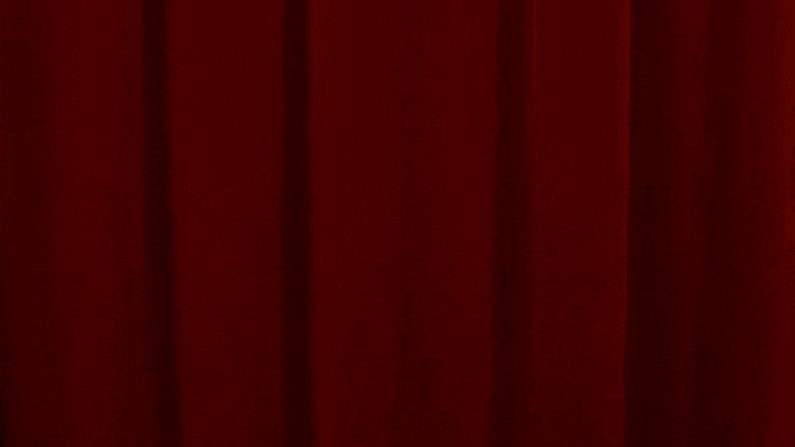 Funny Roasted Dancing Turkey GIF