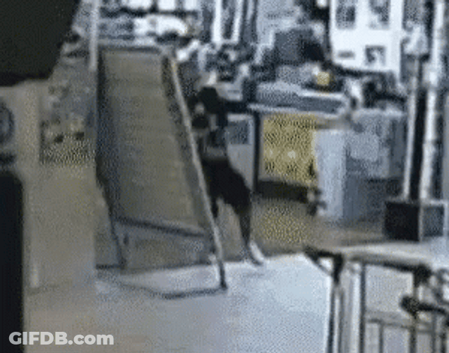 Funny Robber Running Away Fail GIF