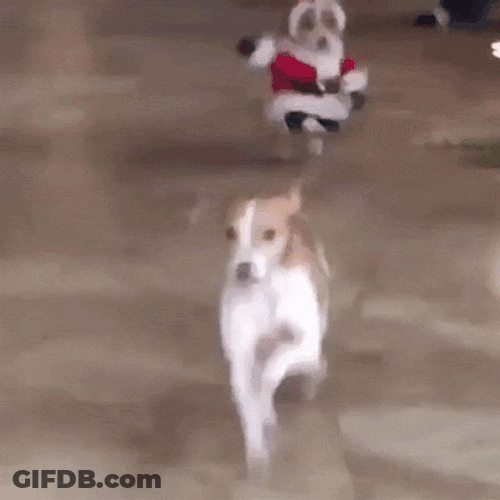 Funny Santa Dog Running GIF