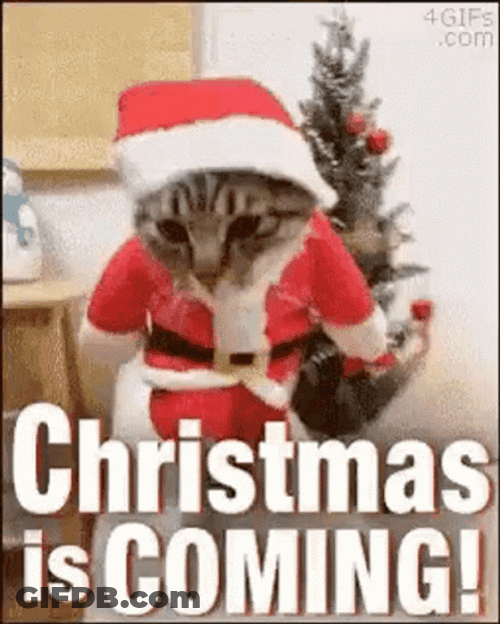 Funny Santa GIF