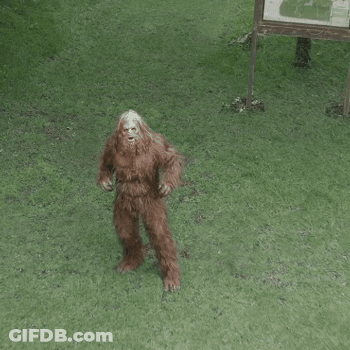 Funny Sasquatch Bracket Buster Meme GIF