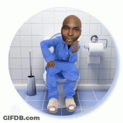 Funny Scratching In Toilet Meme GIF