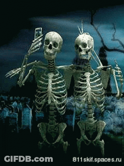 Funny Skeleton Taking Selfies GIF