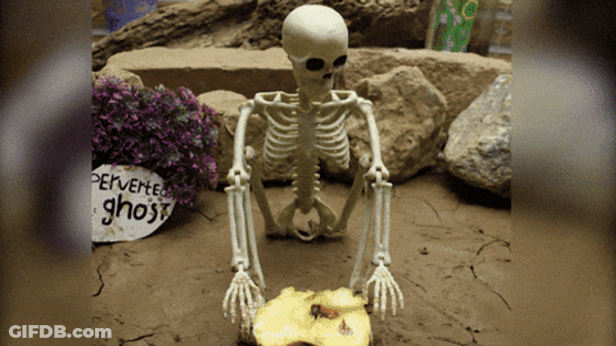 Funny Skeleton Things Coming Out Of Pelvis GIF