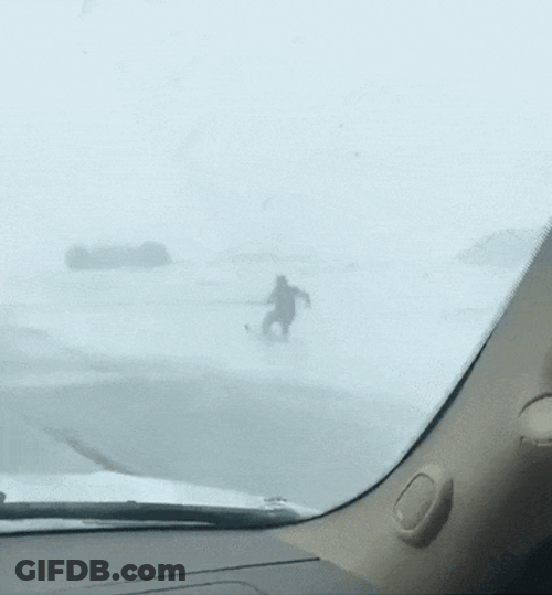 Funny Skiing Horse Carriage GIF