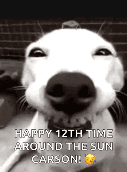 Funny Smile GIF