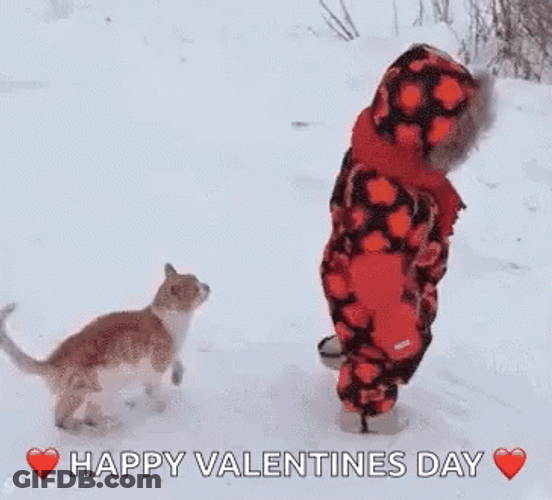 Funny Snow Cat Baby Jump Valentines Day GIF