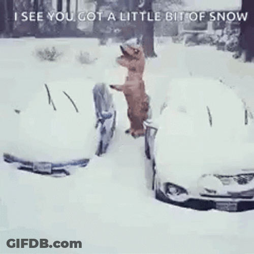 Funny Snow Dinosaur Cleaning Car GIF