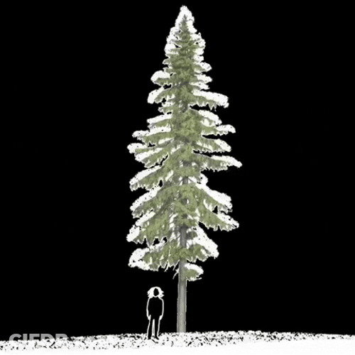 Funny Snow Fall Black Bird GIF