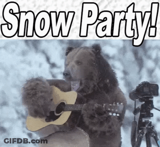 Funny Snow Party Bear Playing Guitar GIF