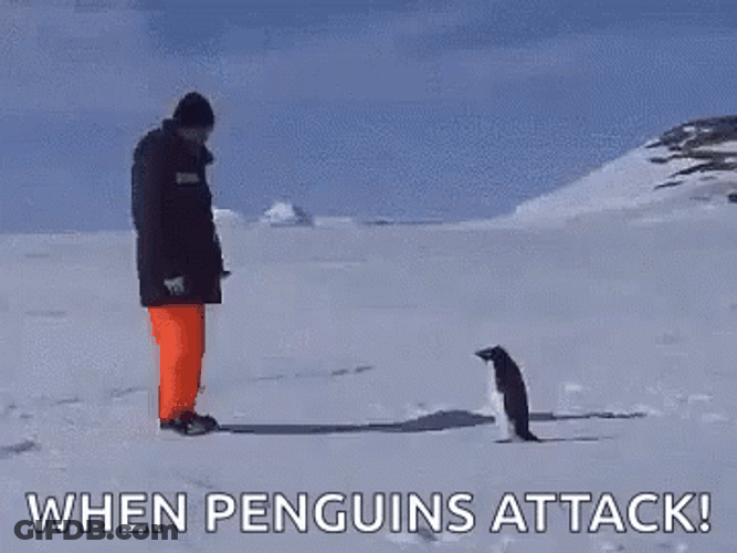 Funny Snow When Penguin Attack GIF