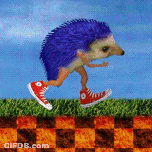 Funny Sonic Running Hedgehog With Shoes GIF