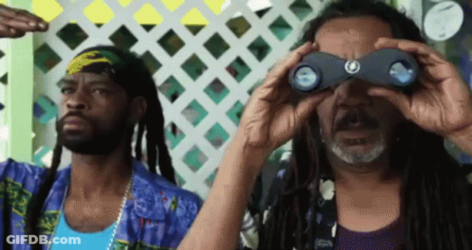 Funny Synchronized Spying Thru Binoculars GIF