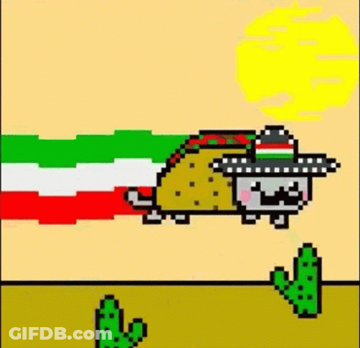 Funny Taco Cat Cactus GIF