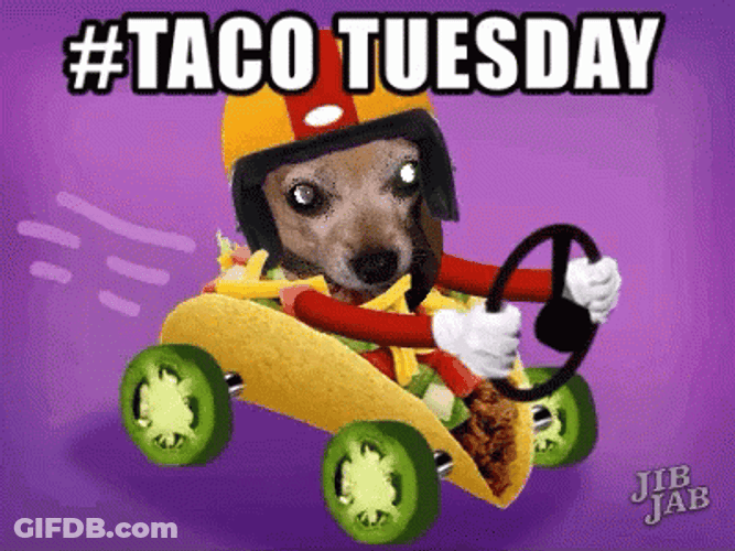 Funny Taco Tuesday Puppy Riding GIF