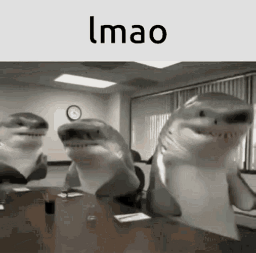 Funny Talking Dolphins Lmao GIF