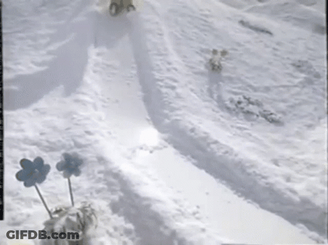 Funny Teletubbies Laa Laa Snow Slide GIF