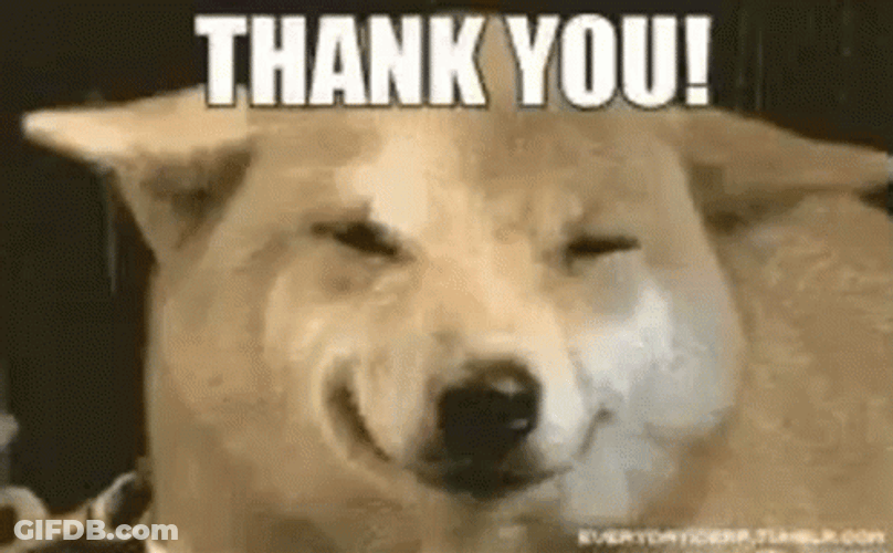 Funny Thank You Doggo GIF
