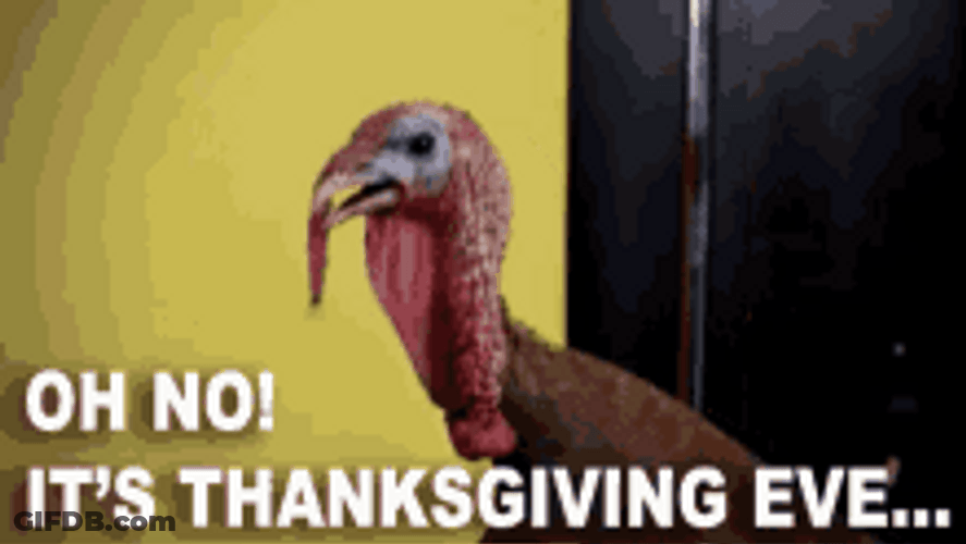 Funny Thanksgiving Nervous Turkey Meme GIF