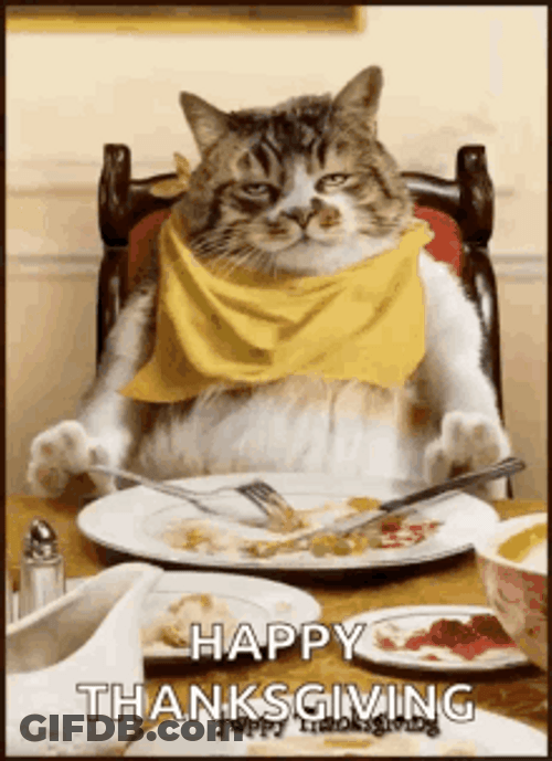Funny Thanksgiving Sitting And Eating Cat GIF