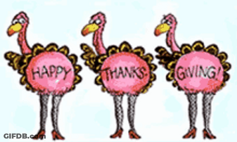 Funny Thanksgiving Turkey Ballet Dance GIF