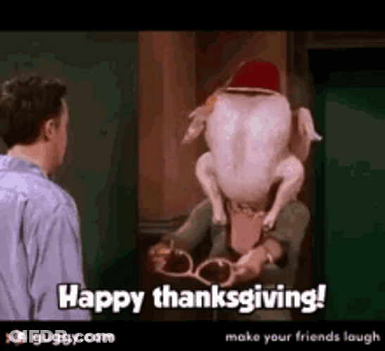 Funny Thanksgiving Turkey Head With Shades GIF