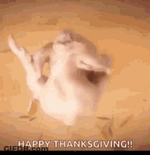 Funny Thanksgiving Turkey Meat Sexy Dance GIF