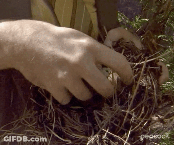 Funny The Office Lunch Time Catch GIF