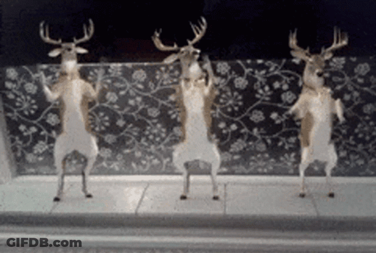 Funny Three Dancing Deers GIF
