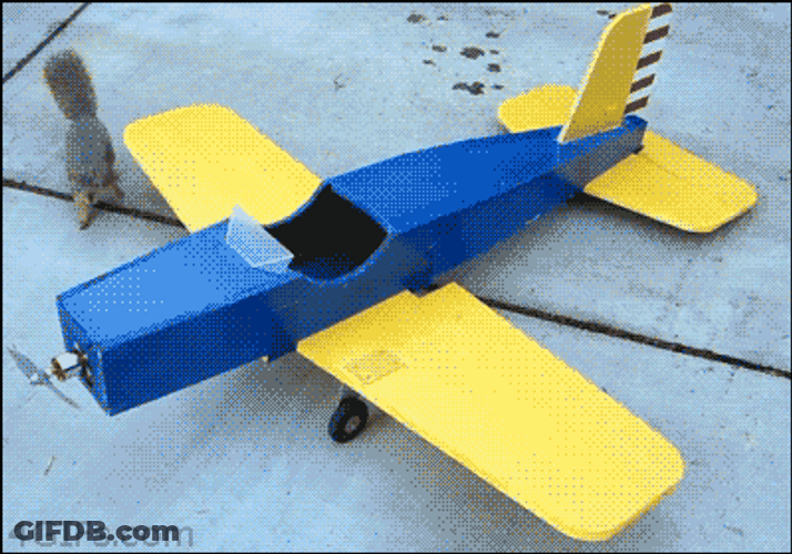 Funny Toy Plane Squirrel GIF