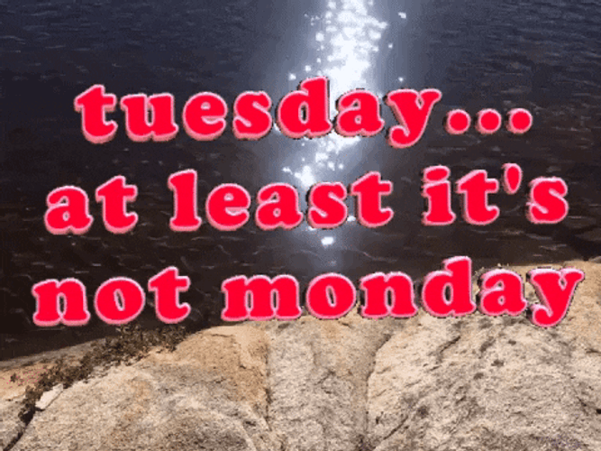 Funny Tuesday Digital Text GIF