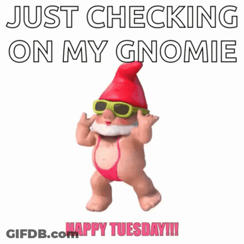 Funny Tuesday Gnome Dancing GIF