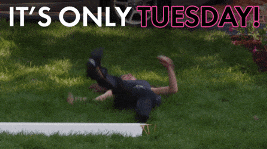 Funny Tuesday Laying On Ground GIF