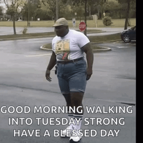 Funny Tuesday Morning Walk GIF
