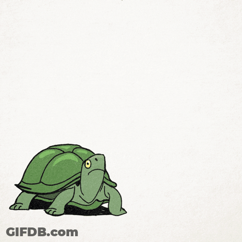 Funny Turtle Dance Party Disco Ball GIF