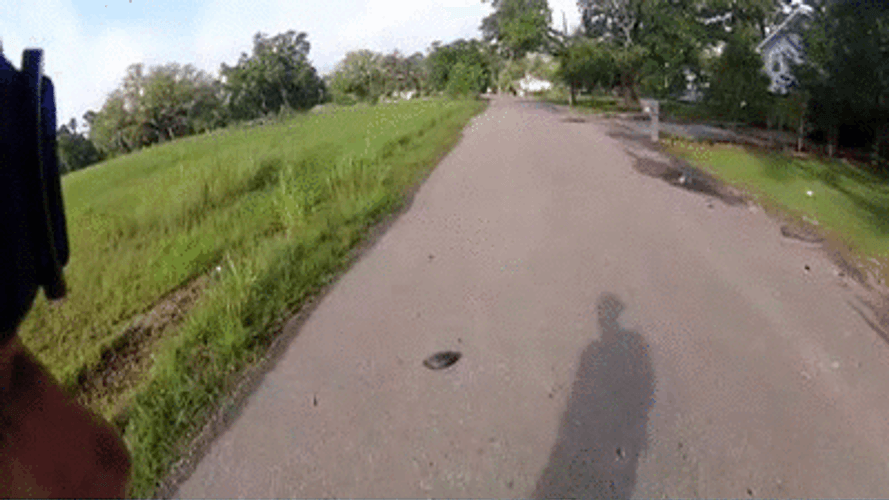 Funny Turtle Street Running Fast GIF
