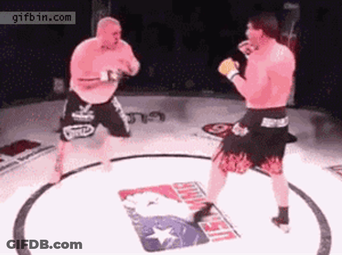 Funny UFC Fighting Moves GIF
