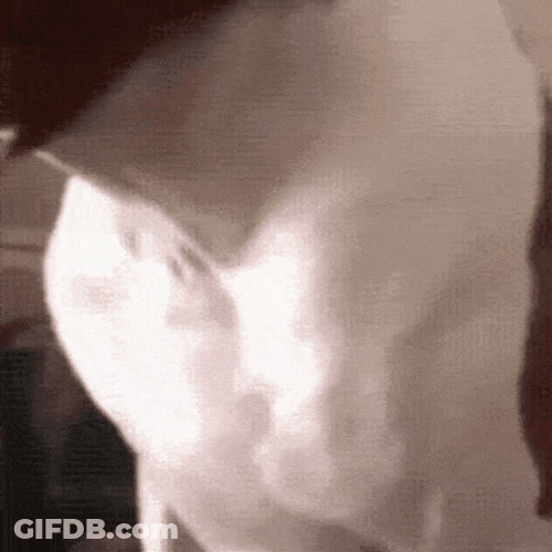 Funny Ugly Dog Mask GIF