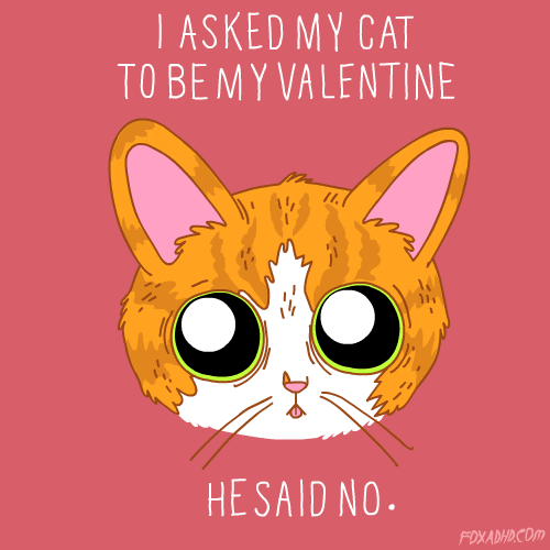 Funny Valentine Cute Cat GIF